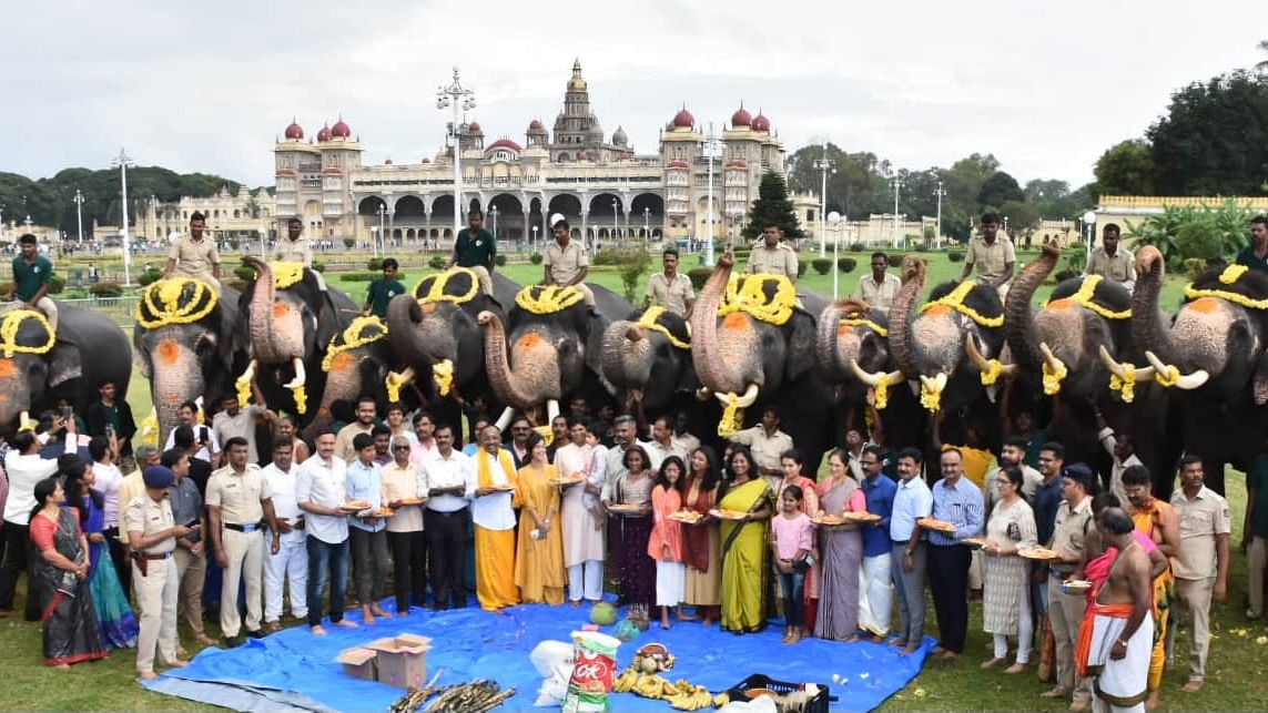 <div class="paragraphs"><p>Special puja offered to Dasara pachyderms on the occasion of Ganesh Chathurthi on Saturday.&nbsp;</p></div>